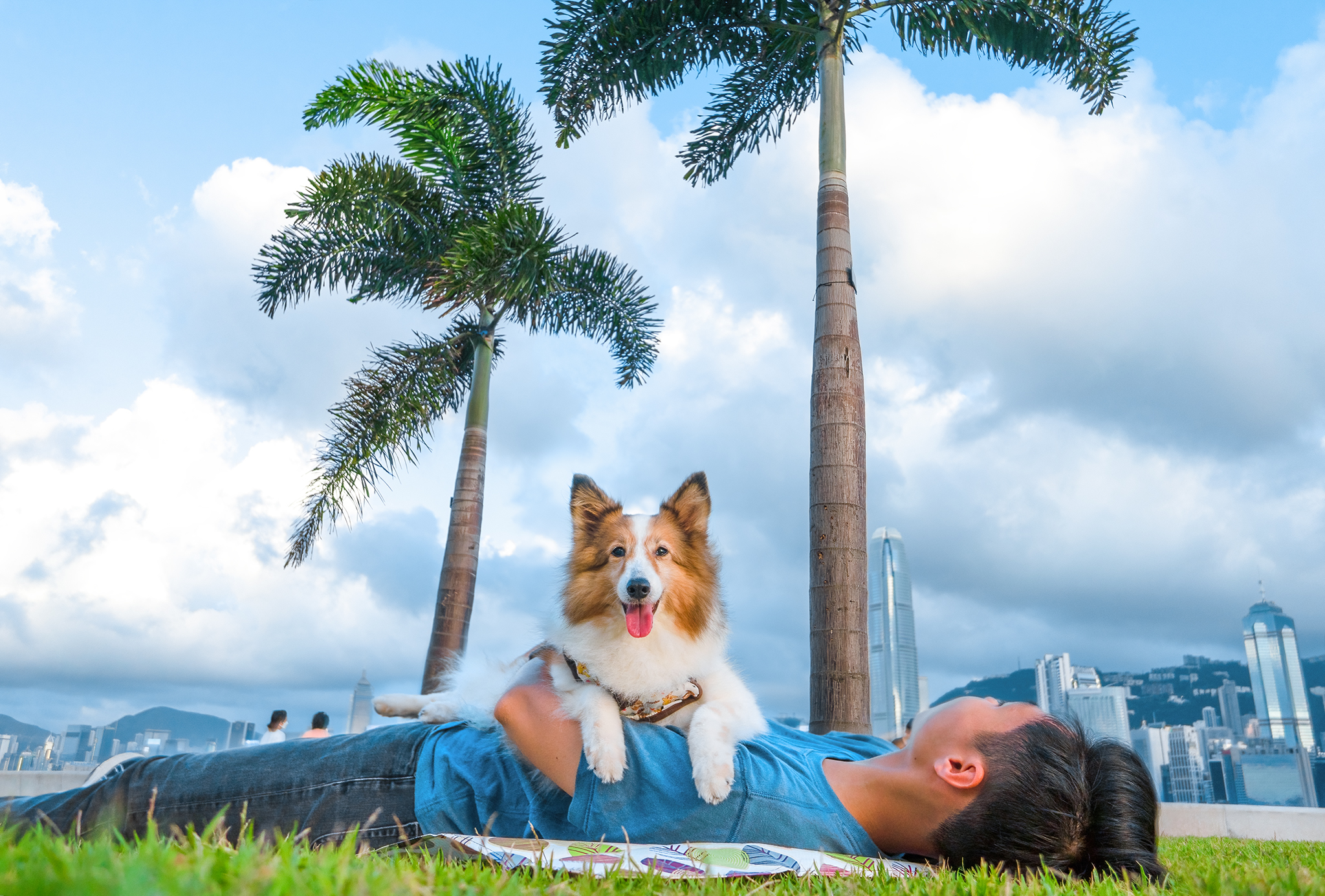 Why West Kowloon is perfect for pets