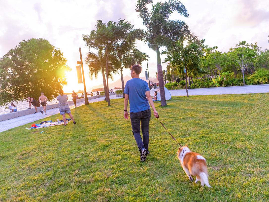 Why West Kowloon is perfect for pets