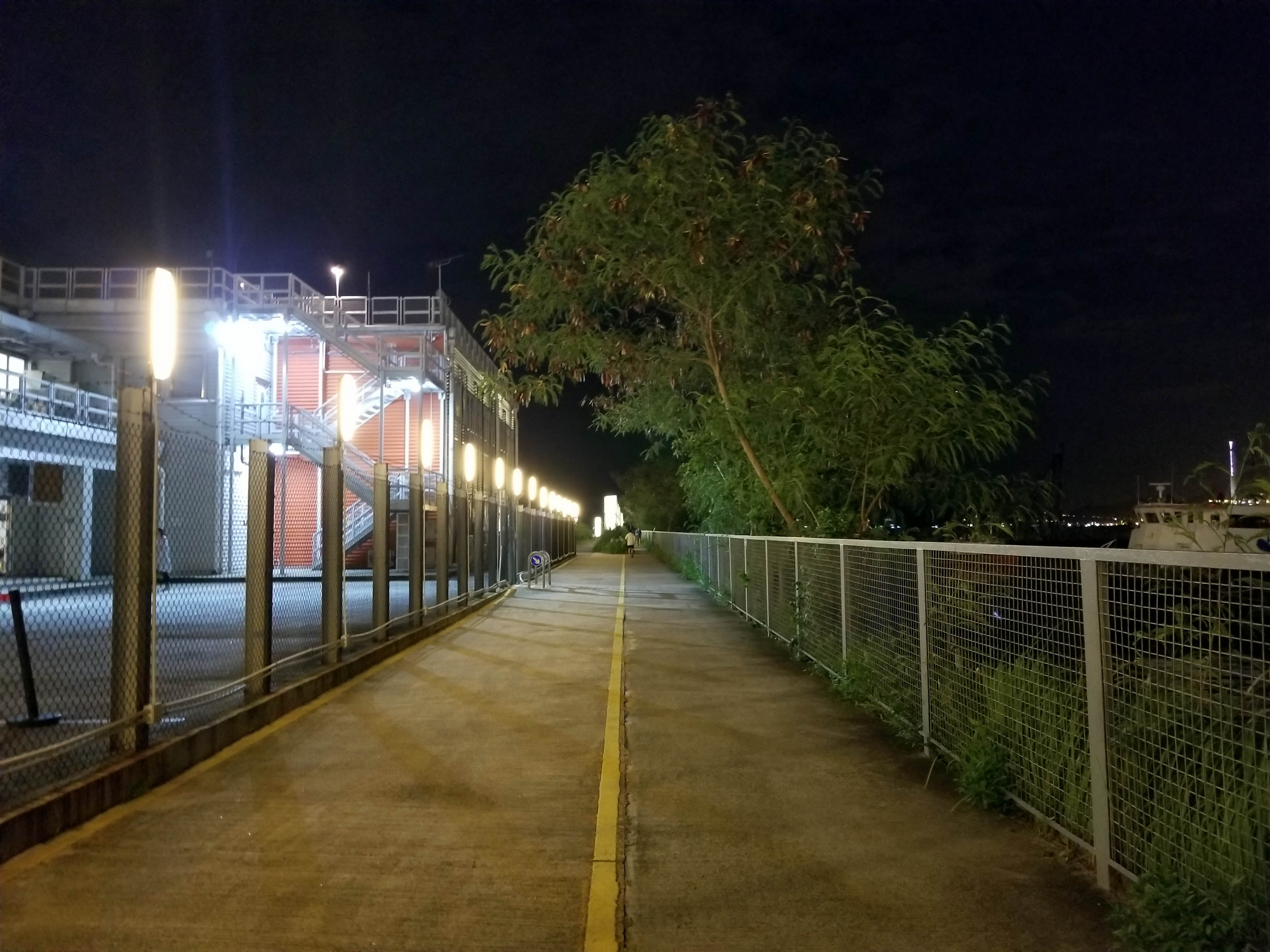 西九維港夜景練跑 Tips 2: 建議沿著海濱長廊來回跑，感受一陣陣海風輕撲向炙熱的身體。